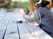 What Makes Vegan Wines Right Choice Almost Everyone?