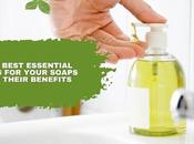 Best Essential Oils Your Soaps Their Benefits
