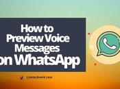 Preview Voice Messages WhatsApp