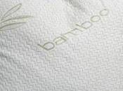 Memory Foam Pillows?