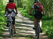 Tips Recognize Great Mountain Bike