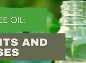 Tree Oil: Benefits Uses