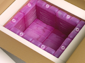 Temperature Controlled Packaging Solutions Market Size, Share, Growth, Outlook, Opportunity Analysis, Forecast 2021 2028
