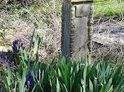 Spring Time