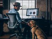 Survey Reveals Working Owners Want Pet-Friendly Workplaces