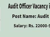 AHSEC Recruitment 2022 Audit Officer Vacancy Guwahati