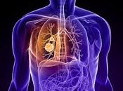 Lung Cancer Therapeutics Market Size, Share, Forecasts Analysis, Company Growth, Profiles Regions 2018 2026