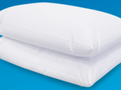 What Common Problems Pillow Protector?