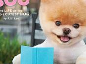 Meet Boo, World’s Cutest (who Million Facebook Fans Book Deal)