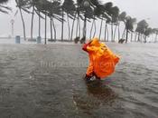 Typhoon Pedring (international Codename: Nesat)