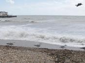 Stormy Lunchtime South Coast