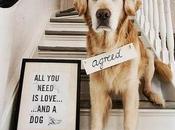 Photo Friday Your Advert Here