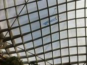 Picture This: Clean Kogod Courtyard Canopy?
