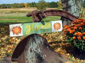 Time Harvest Tyme Pumpkin Patch Lowell, Indiana