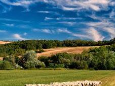 Italy Growing Organic-social Farming