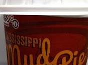 REVIEW! McDonalds Mississippi McFlurry