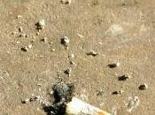 Comments Response Just Blowing Smoke Post