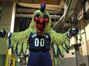 Pierre Pelican…he COULD Worse!!