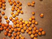 Roasted Chickpeas Easiest Snack Ever!