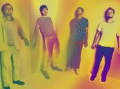 Grizzly Bear Surprise with Track More [stream]
