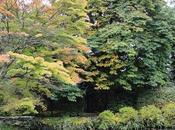 National Stud Japanese Gardens