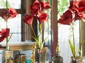 Create Holiday Tablescape with Paper Flower Amaryllis