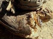 "Beauty Broken World" Inspiration Your Blogging, Writing Creativity: Quote, Prompts More