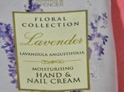 Product Review Marks Spencers Floral Collection Lavender Moisturising Hand Nail Cream