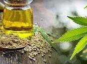 Cannabis Extract Market Size, Share, Forecasts Analysis, Company Growth, Profiles Regions 2021 2028