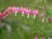Small Wonders