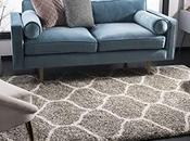 Everything Want Know About Area Rugs