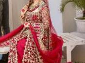 Pink Front Open Maxi Fussed Lehenga