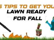 Tips Your Lawn Ready Fall
