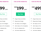 Elementor Pricing: Much Does Cost?
