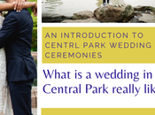 What Wedding Central Park Really Like?