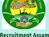 PNRD Recruitment 2022 Accountant Accounts Assistant Vacancy