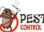 What Look Pest Control Company