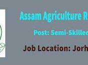 Assam Agriculture Recruitment 2022 Walk-in Interview Post