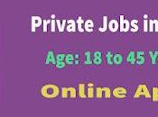 Jaybee Group Recruitment 2022 Manager, Cashier Other Vacancy