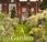 Book Review: Garden Well Placed. Story Helmingham Other Gardens Tollemache