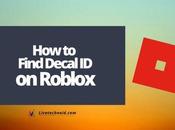 Find Decal Roblox