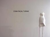Paper Laser
