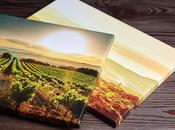 Stretched Unstretched Canvas Prints (Which Option Best?)