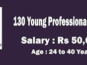 Ministry Labour Employment Recruitment 2022 Young Professional Vacancy