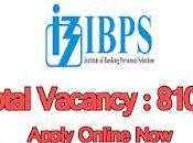 IBPS Recruitment 2022 8106 Officer Office Assistant Vacancy