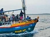 Navy Apprehends Illegal Migrants