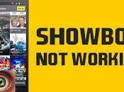 Solve Showbox Issues Enjoy Movies Shows Hassle-free