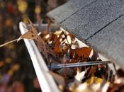 Gutter Screen Guards Keep Leaf Debris