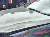 Customs Seize Five Cars Valued Over Rs.150 Sent Illegally