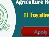 Agriculture Recruitment 2022 Executive Vacancy